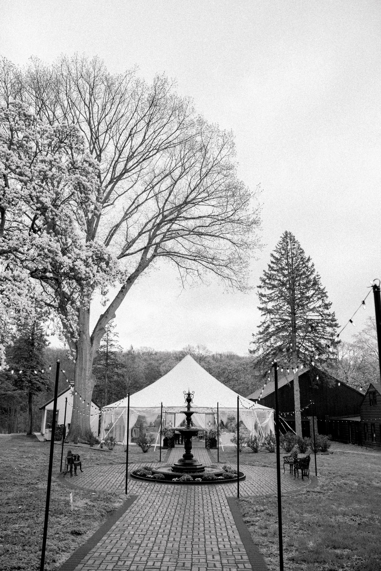 AVENTZ Co. personalized event — garden tent at The Estate, New Haven, Colleen Anne Lennahan Photography