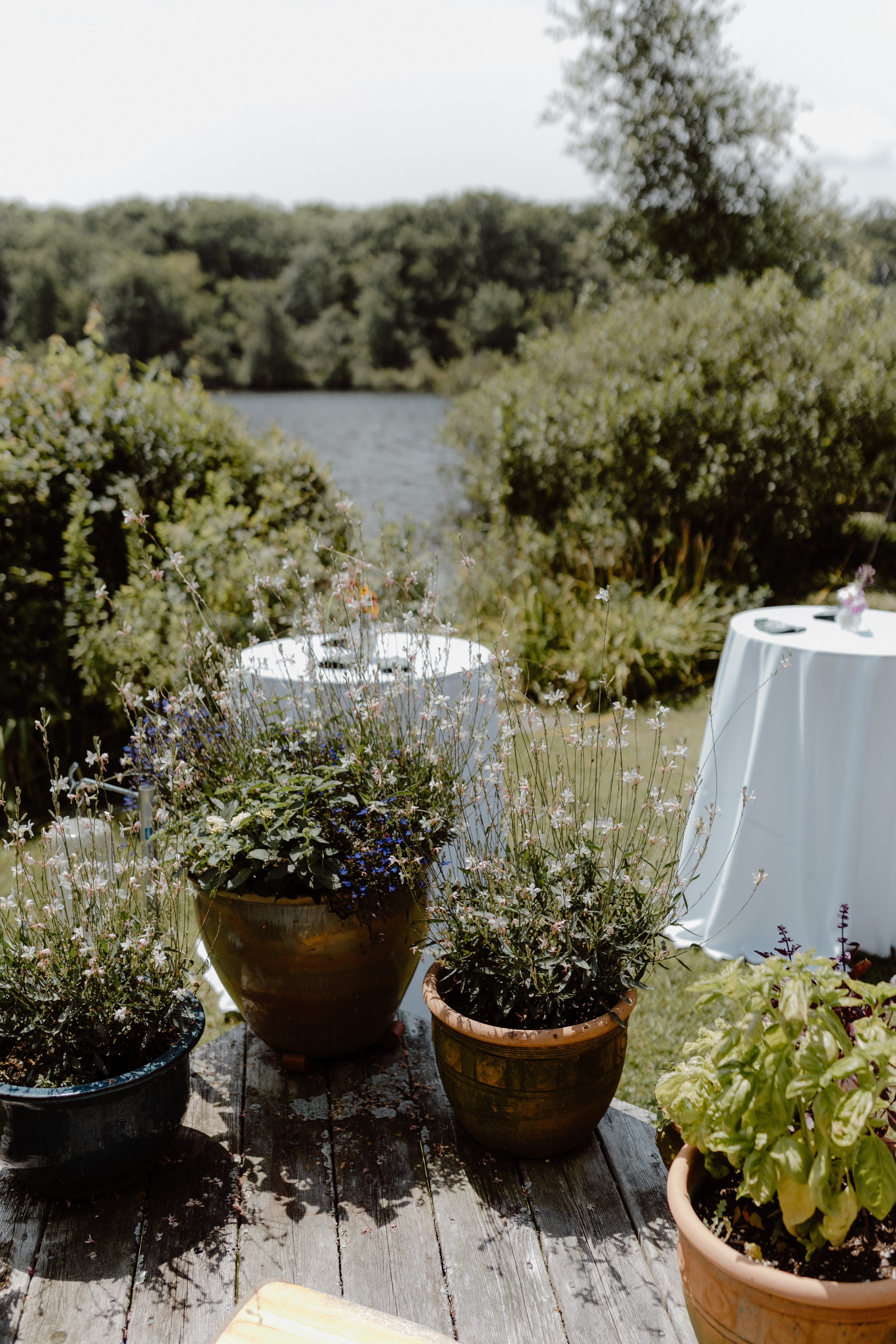 potted plants on cabin porch