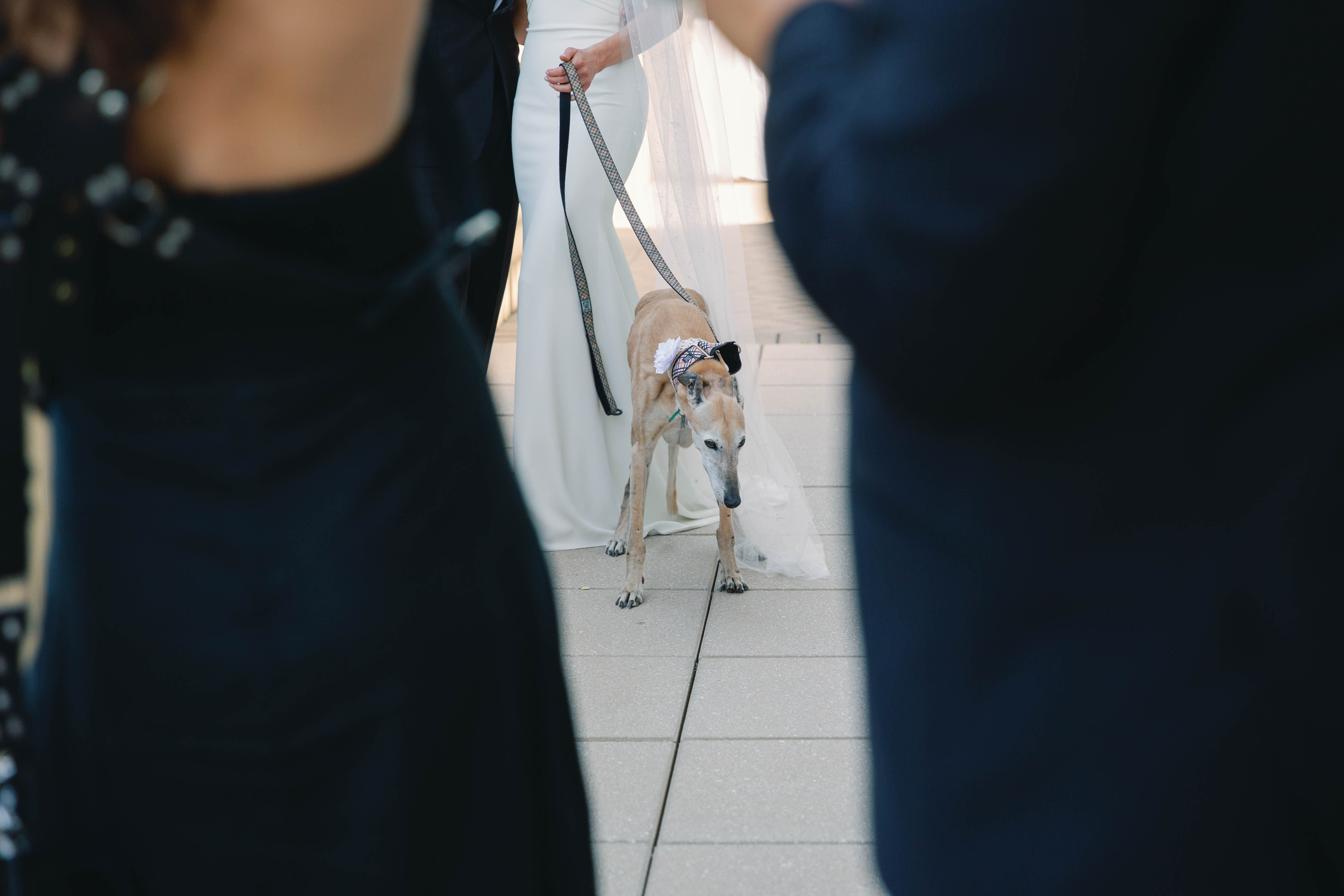 AVENTZ Co. Connecicut Event & Wedding Planner. Abby Fritz Connecicut Wedding Designer. Delamar Hotel West Hartford. Ali Valdez Photography