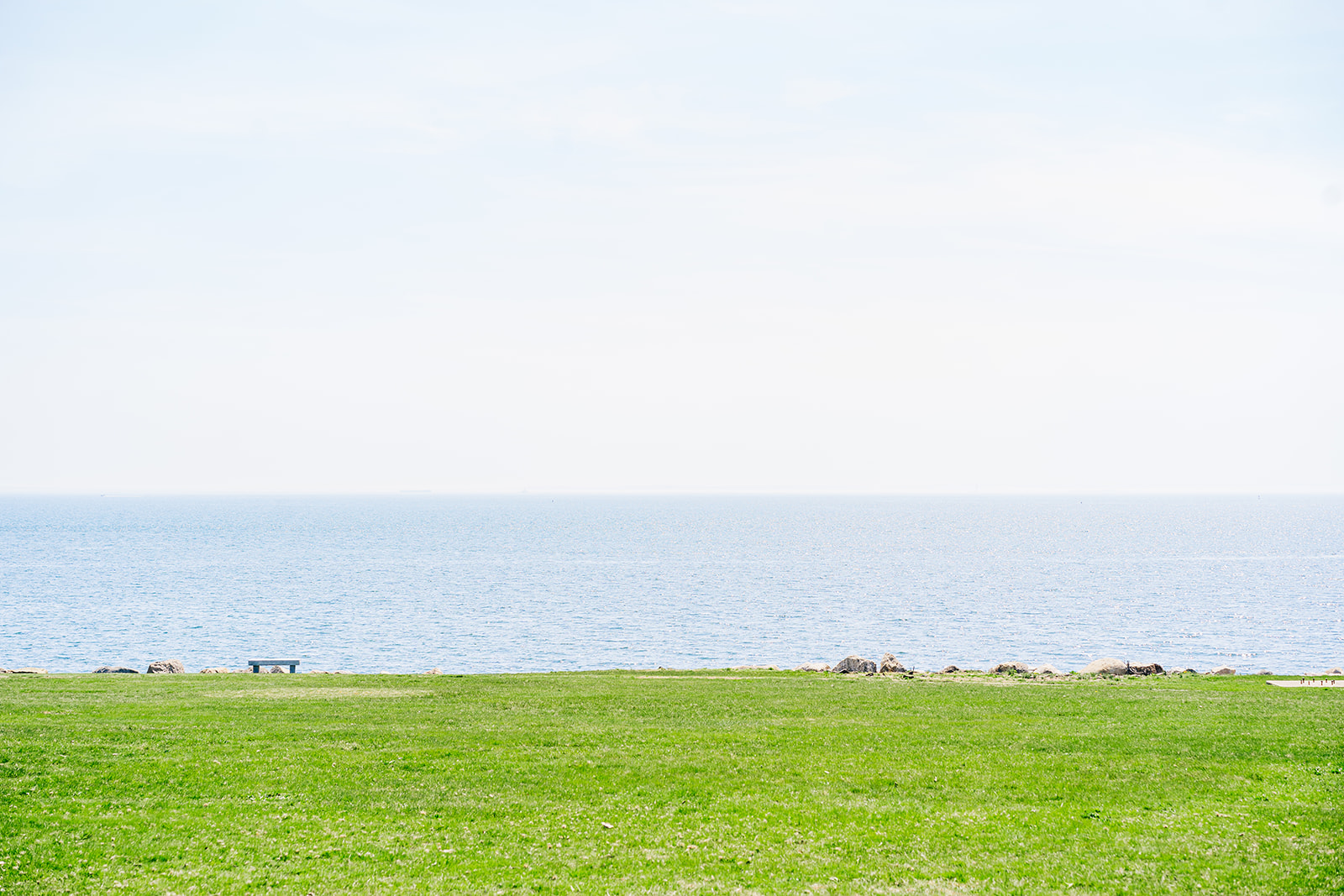 AVENTZ Co. Connecticut Event & Wedding Planner. Abby Fritz Connecticut Wedding Designer, Backyard weddings, CT Private Events, Design, Weddings, Intimate | Molly Mia Photo & Film