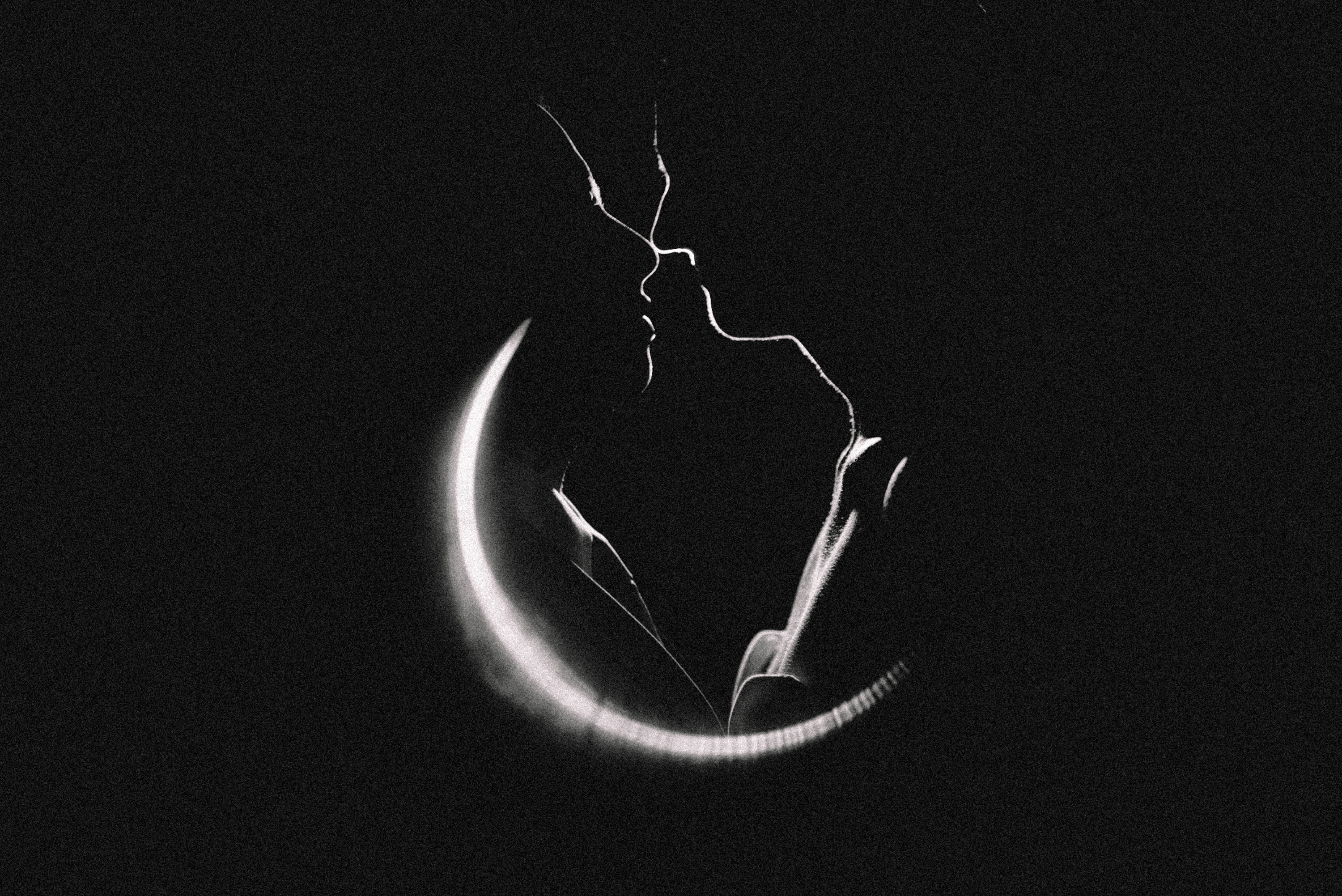 AVENTZ Co. Private Events & Weddings Intimate Coastal. Chester, Connecticut Requime Images