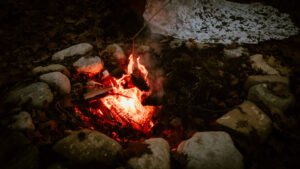 AVENTZ Co. Connecticut Event Wedding Planner. Abby Fritz Connecticut Wedding Designer Backyard weddings CT Private Events Design Weddings Intimate Chasidity Photo99